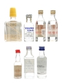 Assorted Spirit Miniatures Vodka, Tequila, Grappa 7 x 2 - 5cl