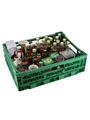 Assorted Blended Scotch Whisky  37 x 5cl