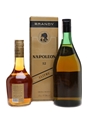 Vidal VSOP Napoleon & Alita Brandy Spain & Lithuania 100cl & 50cl