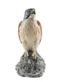 Beneagles Kestrel Decanter  20cl / 40%