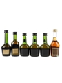 Courvoisier VSOP & Martell VS US Import 6 x 5cl / 40%