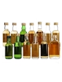 Assorted Blended Scotch Whisky  13 x 5cl
