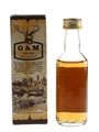 Speyburn 1971 Connoisseurs Choice Bottled 1980s - Gordon & MacPhail 5cl / 40%