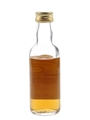 Speyburn 1971 Connoisseurs Choice Bottled 1980s - Gordon & MacPhail 5cl / 40%