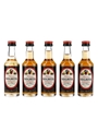 Bardinet Rhum Negrita  5 x 5cl / 38%