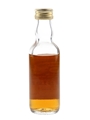 Lochside 1965 Connoisseurs Choice Bottled 1980s - Gordon & MacPhail 5cl / 40%