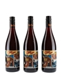 2018 Odd Lot Pinot Noir Scheid Family Wines - Monterey 3 x 75cl / 13.5%