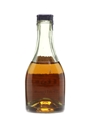 Salignac George V Reserve Bottled 1950s 5cl / 40%