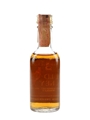Wild Turkey Bottled 1980s - Austin Nichols 5cl / 40%