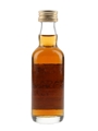 Macallan 1977 Bottled 1995 5cl / 43%