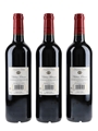2010 Chateau Potensac  3 x 75cl / 14%