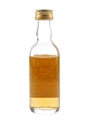 Coleburn 1965 Connoisseurs Choice Bottled 1990s - Gordon & MacPhail 5cl / 40%
