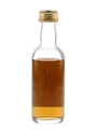 Glen Albyn 1965 Connoisseurs Choice Bottled 1990s - Gordon & MacPhail 5cl / 40%