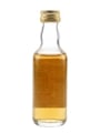 Dailuaine 1971 Connoisseurs Choice Bottled 1990s - Gordon & MacPhail 5cl / 40%