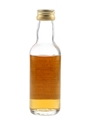 Benrinnes 1968 Connoisseurs Choice Bottled 1980s-1990s - Gordon & MacPhail 5cl / 40%