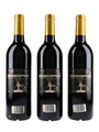1999 Pichon Longueville Comtesse De Lalande Pauillac - Deuxieme Cru Classe 3 x 75cl / 13%
