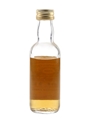 Caol Ila 1969 Connoisseurs Choice Bottled 1980s - Gordon & MacPhail 5cl / 40%