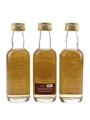 Saint George's Day Whisky Connoisseur 3 x 5cl / 40%