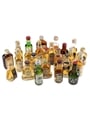 Assorted Blended Scotch Whisky  24 x 5cl