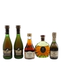 Assorted Remy Martin  5 x 3cl-5cl / 40%