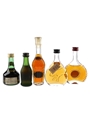 Assorted Cognac & Armagnac  5 x 3cl-5cl / 40%