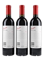 Penfolds Bin 389 Cabernet Shiraz 2019  3 x 75cl / 14.5%