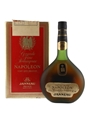 Janneau Napoleon Armagnac Bottled 1980s - Duty Free 70cl / 40%