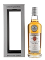 Longmorn 2005 Distillery Labels Bottled 2019 - Gordon & MacPhail 70cl / 43%