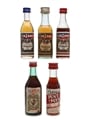 Vermouth Miniatures Martini, Cinzano, Carpano 5 x 5cl