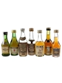 Assorted Cognac  7 x 3cl-5cl / 40%