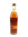 Hennessy Private Reserve Schieffelin & Somerset 5cl