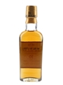 Macallan 10 Year Old  5cl / 40%