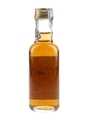 Macallan 7 Year Old Bottled 1990s - Giovinetti & Figli 5cl / 40%