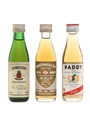 Irish Whiskey Miniatures Power, Paddy, Jameson 3 x 7.1cl / 40%