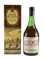 Delamain Pale & Dry Bottled 1970s 68cl / 40%