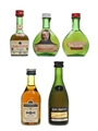 Cognac & Armagnac Miniatures Courvoisier, Martell, Remy Martin, Janneau 5 x 3cl - 5cl / 40%