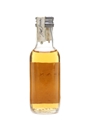 Oban 14 Year Old 5cl / 43%