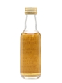 William Wallace Vatted Malt The Whisky Connoisseur 5cl / 40%