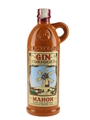 Xoriguer Gin Bottled 1990s-2000s 50cl / 38%