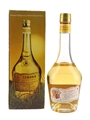 Izarra Vieille Liqueur De La Cote Basque Bottled 1970s 35cl / 40%