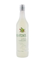 Newton's Apple Schnapps  70cl / 20%
