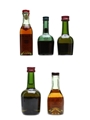 Cognac Miniatures Courvoisier, Bisquit, Larsen 5 x 3cl - 5cl / 40%