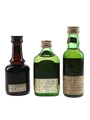 Bowmore 12 Year Old, Glenfiddich Pure Malt & Glenlivet 12 Year Old Bottled 1970s-1980s - Japanese Import 3 x 4.7cl 5cl