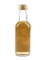Knockando 17 Year Old Cask Strength The Whisky Connoisseur - Speyside Select 5cl / 43%