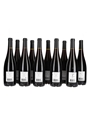 2021 Bourgueil Les Brochoires Cabernet Franc 10 x 75cl / 12.5%