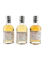 Bruichladdich MP7 Tasting Set Bottled 2017 - Micro-Provenance Series 3 x 20cl