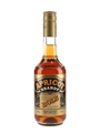 Bols Apricot Brandy  50cl / 24%