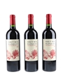 2015 Haut Roc Blanquant Saint Emilion Grand Cru Classe 3 x 75cl / 15%