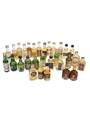 Assorted Blended Scotch Whisky  30 x 5cl