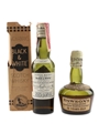 Buchanan's Black & White & Dawson's 12 Year Old Blended Scotch Whisky Bottled 1940s-1950s 2 x 5cl / 40%